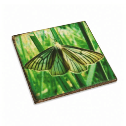 Untersetzer Schmetterling Baum grün Holz 10 x 10 cm