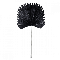 Licht und Leben Blatt Plantae schwarz 91 cm