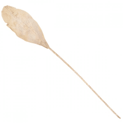 Künstliches Palmenblatt beige 103 cm