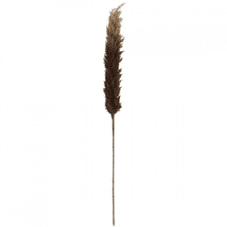 Countryfield art branch Astilbe brown 145 cm