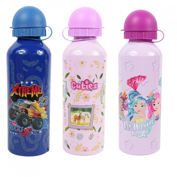 Lizenz Wasserflasche Metall 500 ml 6 Stück sortiert