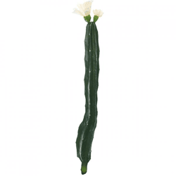 Kaktus mit Blüte weiß/grün 35 cm