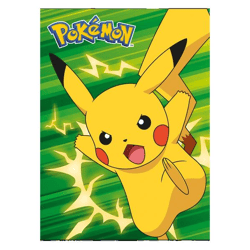 Pokémon - A5 Notizbuch - 4-fach sortiert - 16 Blätter