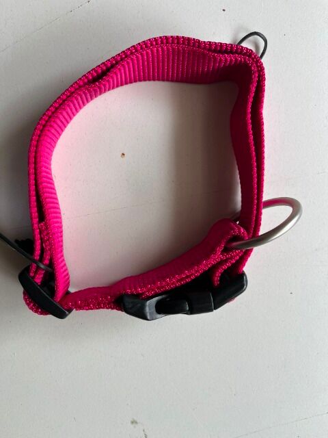 18x WOLTERS Professional Halsband Gr. XL 45–65 cm Neu Restposten Hundehalsband