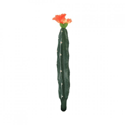 Kaktus mit Blüte orange/grün 23 cm