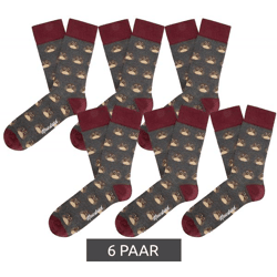 6 Paar Moustard Owl  Baumwoll-Socken mit Eulen-Allover-Print gemusterte lange Strümpfe 20S-OWL Grau/Rot/Beige