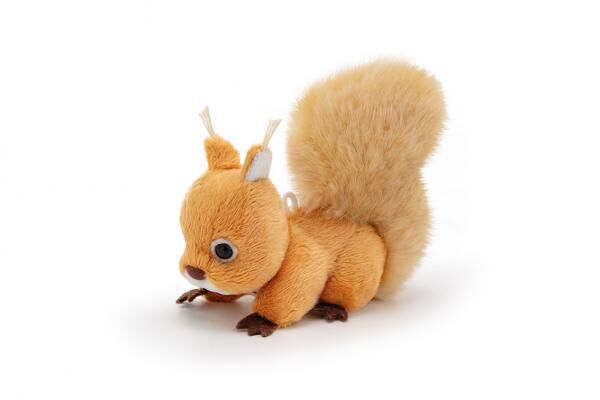 Sweet Collection - Eichh&ouml;rnchen (XXS)