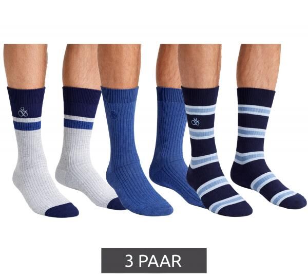 3 Paar SCOTCH & SODA Herren Crew-Socken Amsterdam Cotton Blend Alltags-Strümpfe Einheitsgröße / 41-46 Business-Socken SS601099-037 Grau/
