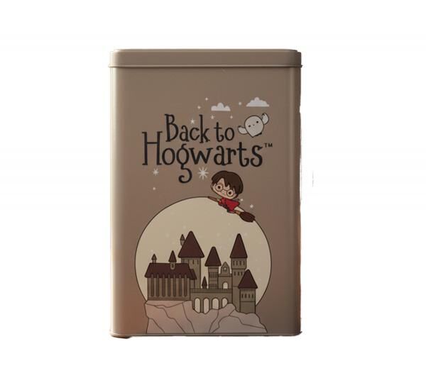 Harry Potter Vorratsdose &bdquo;Hogwarts Express&ldquo; 1500 ml Metall Aufbewahrungsdose mit Deckel Grau 