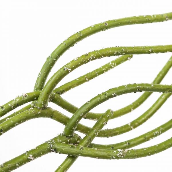 J-Line künstlicher Zweig Rhipsalis grün 94 cm