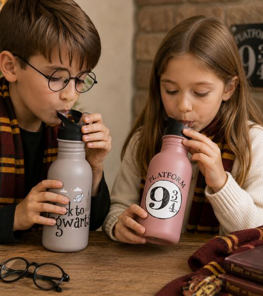 Harry Potter Trinkflasche „Hogwarts Express“ oder „Back to Hogwarts“ 500 ml Edelstahl Trinkflasche im magischen Design Rosa oder Gr