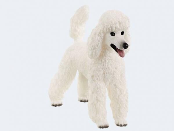 Schleich 13917 - Farm Pudel