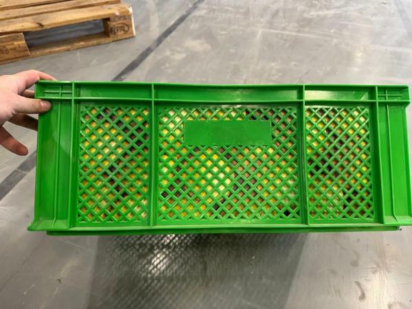 3 Paletten mit grünen Kisten, 96 Stück