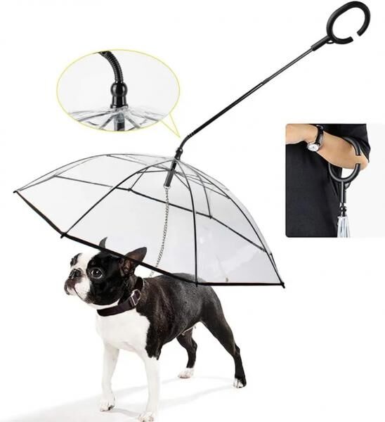 [PREISSENKUNG] PawBrella – Verstellbarer Hundeschirm mit integrierter Leine | Transparente, wasserdichte Schutzhülle für kleine Hunde