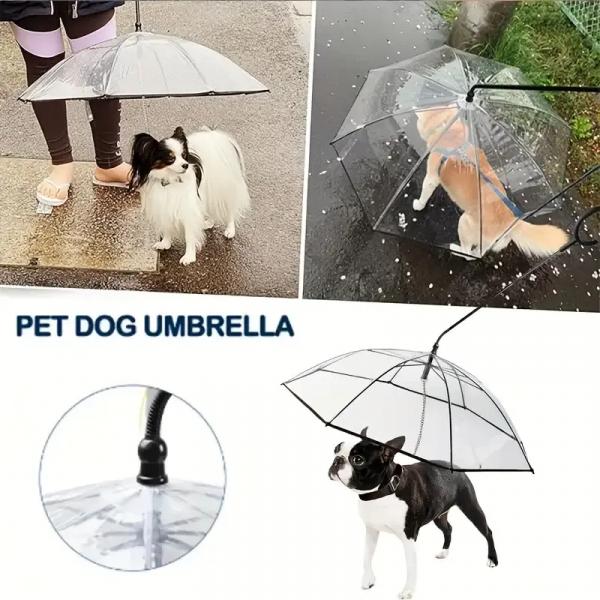 [PREISSENKUNG] PawBrella – Verstellbarer Hundeschirm mit integrierter Leine | Transparente, wasserdichte Schutzhülle für kleine Hunde