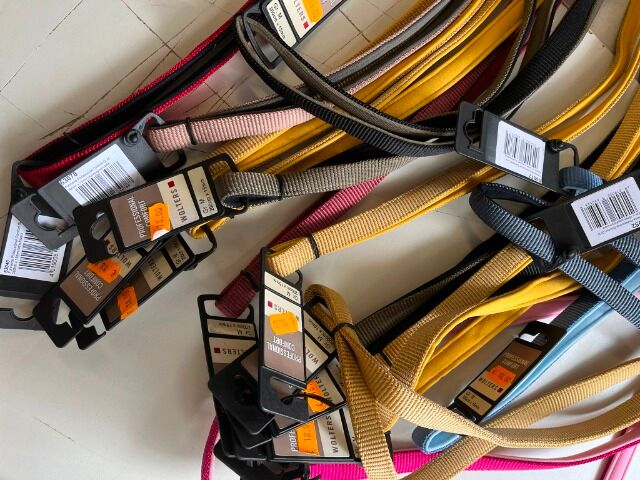 21x Hundeleine Wolters Professional Comfort 200x15mm, verschiedene Farben