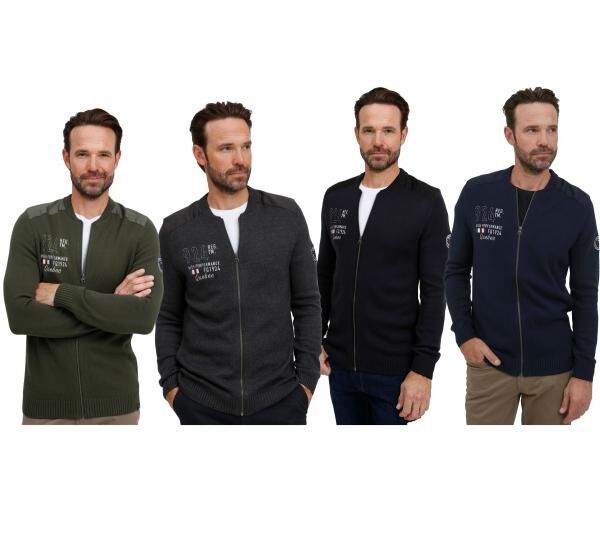 klassische FQ1924 FQErland Herren Zip-Jacke mit Stehkragen Jacke 21900122 in Gr&uuml;n, Grau, Schwarz oder Blau