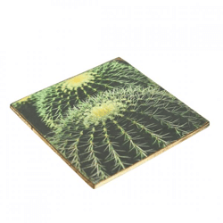 Untersetzer Kaktus Echinocactus grusonii Holz 10 x 10 cm