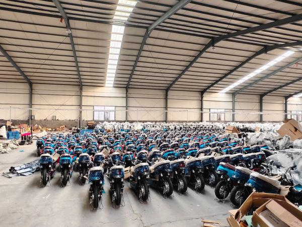 Bergtaugliches Elektro-Tretunterstützungsfahrrad – Hintergabel 445 mm, Agrarausführung