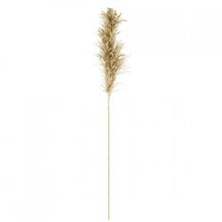 Parlane pampas grass natural 120 cm