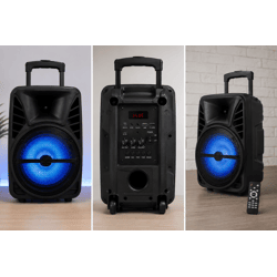 Bluetooth-Lautsprecher 20W – USB/SD/FM – Wiederaufladbar – Großhandel