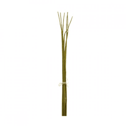 J-Line Bündel Bambuszweige, grün, 75 cm