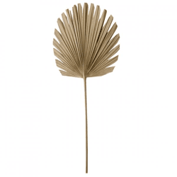 Light & Living Kunstzweig mit Palmblättern „Plantae“, naturfarben, 103 cm