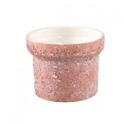 PTMD Blumentopf Christe S rosa 11,5 cm