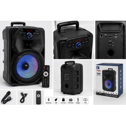 Tragbarer Bluetooth-Lautsprecher 10W – USB / SD / FM / Bluetooth / TWS – Großhandel