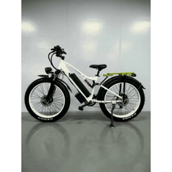 Full-suspension fat bike e-bike, 1000W motor, 48V 20Ah battery, dual disc brakes, off-road electric bike with luggage rack