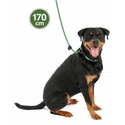 Bequeme Company of Animals 3-in-1 Hundeleine für stark ziehende Hunde Hundekurzleine Retrieverleine 170cm Grün
