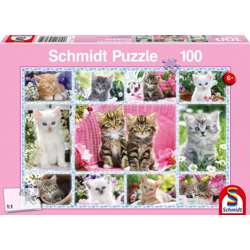 Kittens - 100 pieces jigsaw puzzle
