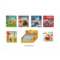 LEGO® 6554617 - Novelties - Recruitment Bags - Display