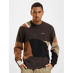 modernes Dickies Herren Sweatshirt Braun