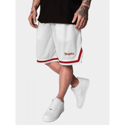 Versatile Dropsize Men's Pants with Pockets, Mesh, White