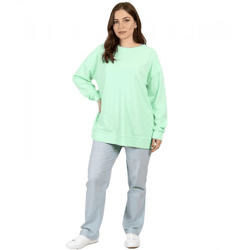 ZEGY Damen Sweatshirt schlichter Baumwoll-Pullover Rundhals-Pulli Sweater 1070 Mint-Grün