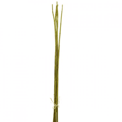 J-Line Bündel Bambuszweige, grün, 110 cm