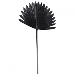 Light en Living Kunstzweig mit Palmblatt „Plantae“, schwarz, 78 cm