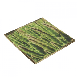 Untersetzer Kaktus Euphorbia erytrea Holz 10 x 10 cm