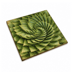 Untersetzer Sukkulente Agave victoria Holz 10 x 10 cm