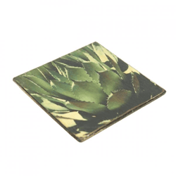 Untersetzer Sukkulente Opuntia subulata Holz 10 x 10 cm