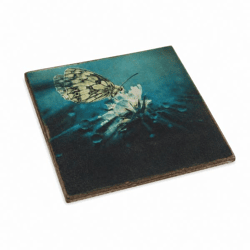 Untersetzer Schmetterling Elsterstrandläufer Holz 10 x 10 cm