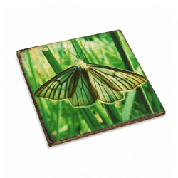 Untersetzer Schmetterling Baum grün Holz 10 x 10 cm