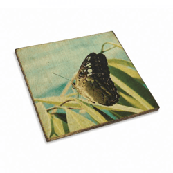 Untersetzer Schmetterling kleiner Fuchs Holz 10 x 10 cm