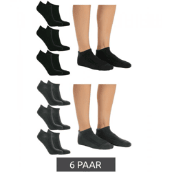 6 pairs of TASTIQ women's sneaker socks—plain cotton socks in a gift box—kids' sports socks in gray or black