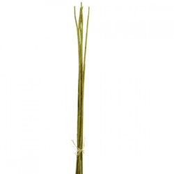 J-Line Bündel Bambuszweige, grün, 110 cm
