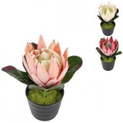 Künstliche Pflanze im Topf Protea 21 cm 3 Stück sortiert