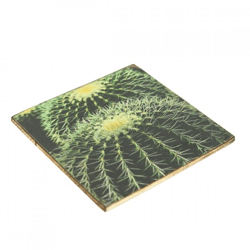 Untersetzer Kaktus Echinocactus grusonii Holz 10 x 10 cm