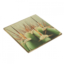 Untersetzer Kaktus Focus Holz 10 x 10 cm