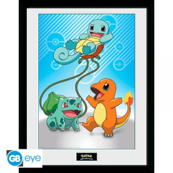 POKEMON - Framed print 